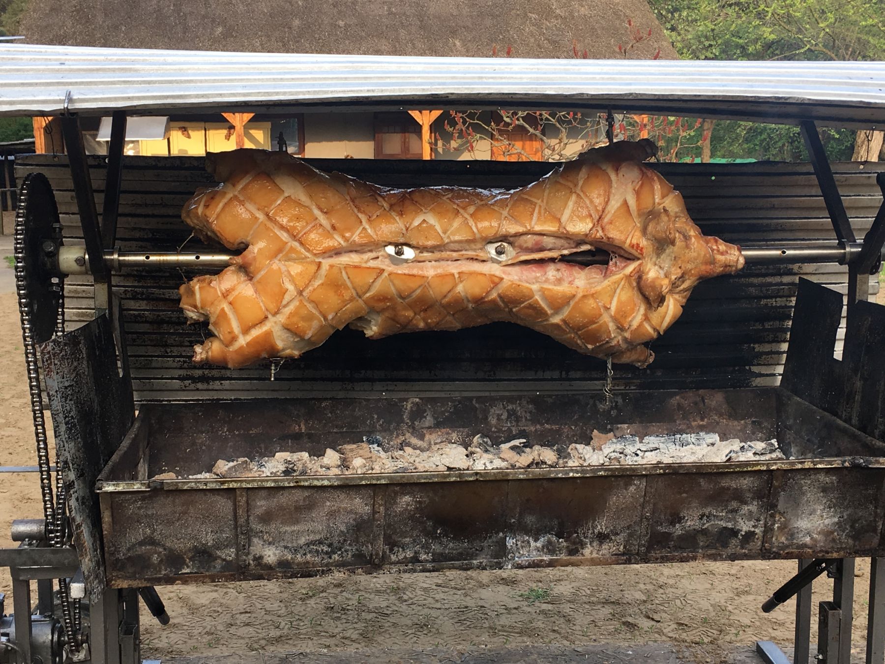 Malacsütés nyárson